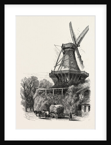 The Windmill, Potsdam, Germany by Anonymous