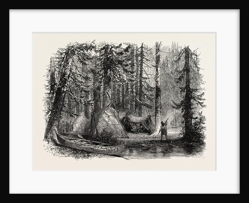 Primeval Forest and Indian Lodges by Anonymous