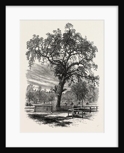 Boston Common by Anonymous