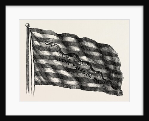 Rattlesnake Flag, Steps Towards Independence by Anonymous