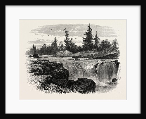 Falls of the Passaic, New Jersey by Anonymous