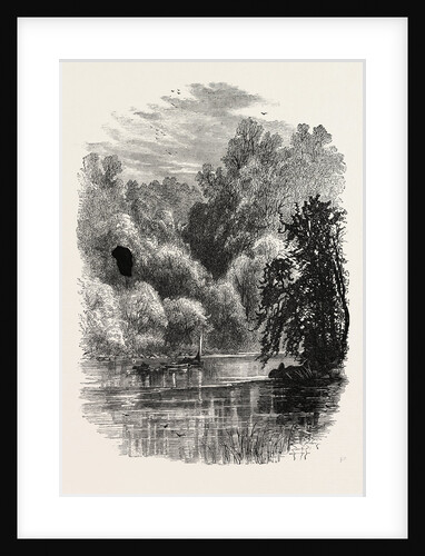 View on the Brandywine by Anonymous