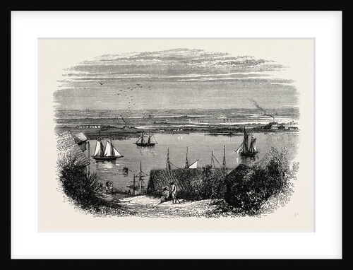View from Savannah, Looking Over Rice-Fields by Anonymous