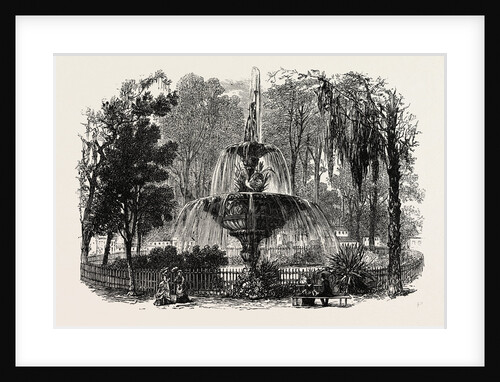 View in the Park, Savannah by Anonymous