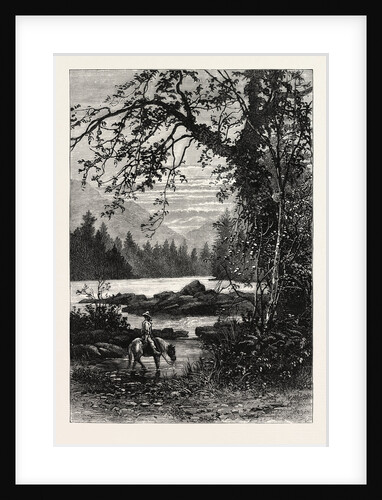 View in North Carolina by Anonymous