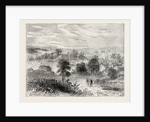 View of Yorktown by Anonymous