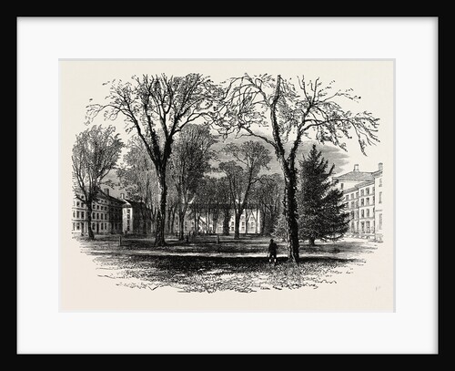 The Quadrangle, Harvard College, Cambridge, Massachusetts by Anonymous