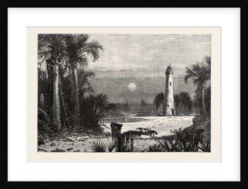 View on the Coast of Florida by Anonymous
