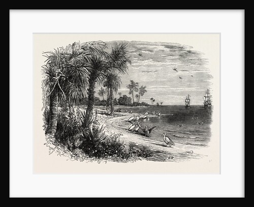 View on the Coast of Florida by Anonymous