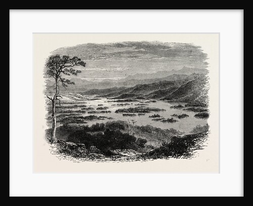 View in New Hampshire by Anonymous