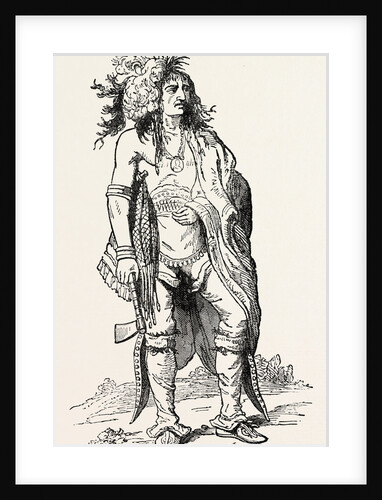 North American Indian by Anonymous