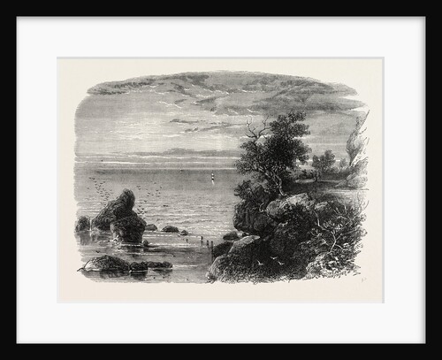 View on the Coast of Massachusetts by Anonymous