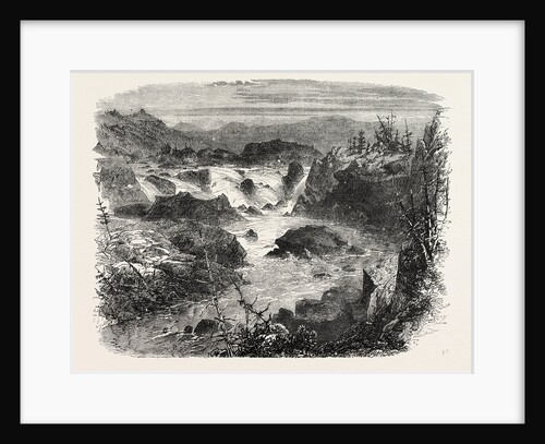 Falls of the Potomac by Anonymous