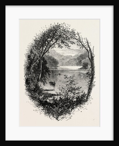 View on the Schuylkill by Anonymous