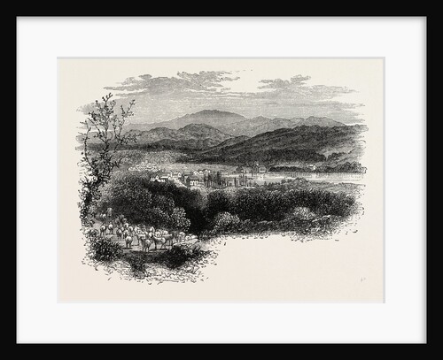 View in New Hampshire by Anonymous