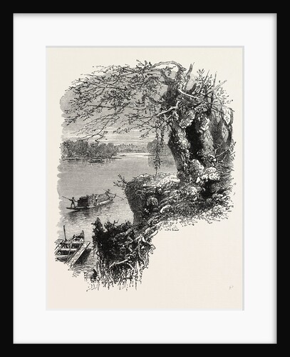 On the Savannah River by Anonymous