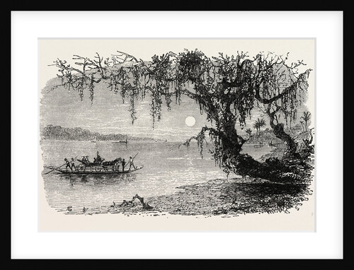 View on the Ashley River by Anonymous
