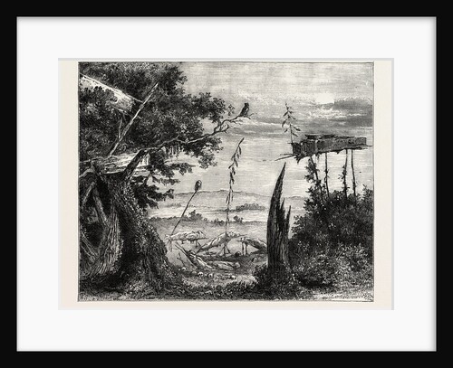 Indian Burial-Ground on the Mississippi by Anonymous