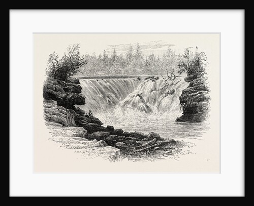 Falls of the St. John River, North America by Anonymous