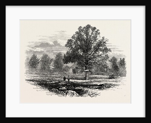 Battlefield of Abercrombie's Defeat by Anonymous