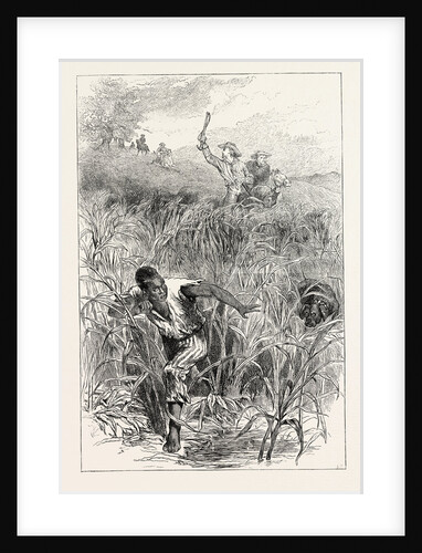 A Slave Hunt, United States of America, Slavery by Anonymous