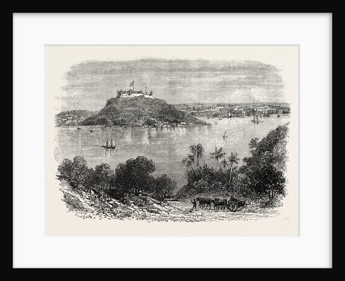 Havannah Harbour, Showing Where the Fifty Invaders Were Shot by Anonymous