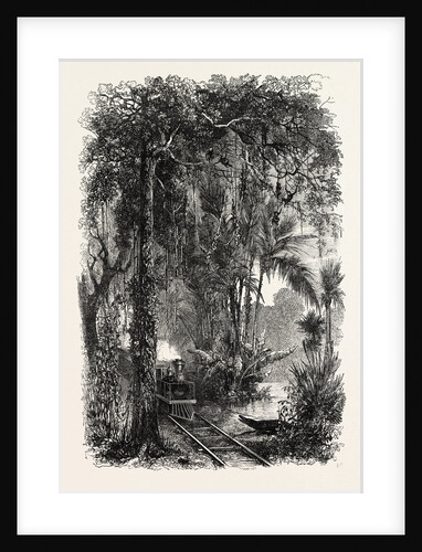 View on the Panama Railroad, Panama by Anonymous