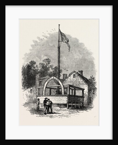 An American Stump by Anonymous
