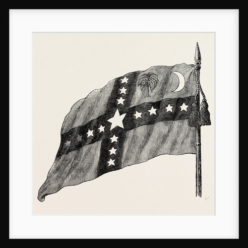 The South Carolina Flag by Anonymous