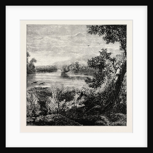 View in Pennsylvania by Anonymous