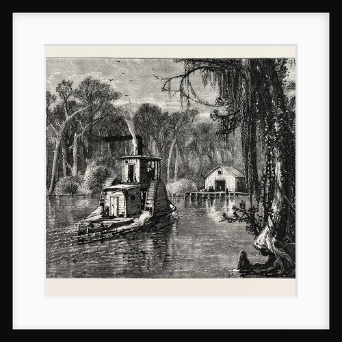 View in Florida by Anonymous
