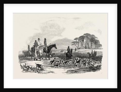 Hare Hunting: The Meet by Anonymous