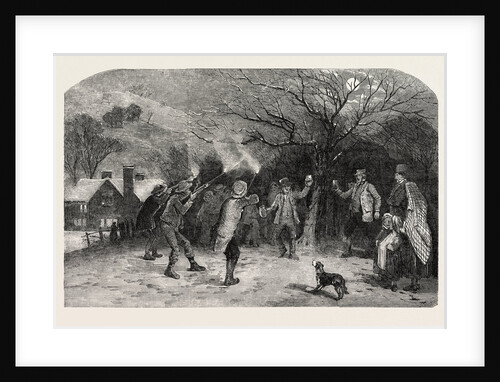 Firing at the Apple Tree, in Devonshire by Anonymous