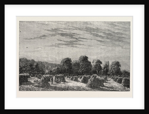 Exhibition of Modern British Art: A Corn Field: Evening by Anonymous
