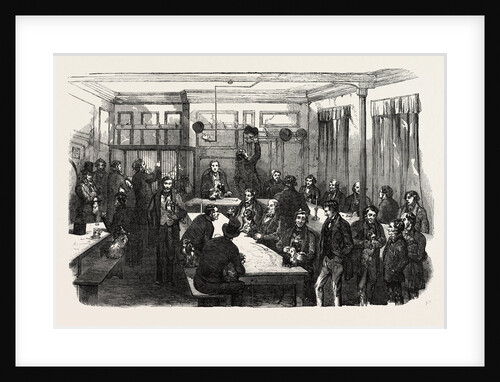 Fancy Dog Show by Anonymous