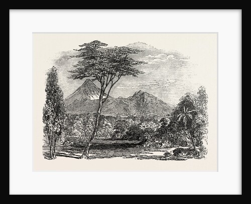 View in Crofton Park, New Zealand by Anonymous