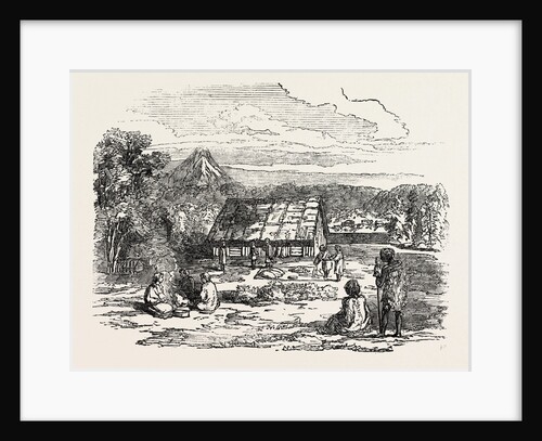 View on Waitera River, North Bank, New Zealand by Anonymous