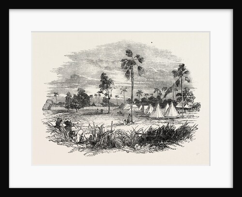 Encampment at Jaswong, Gambia, West Africa by Anonymous