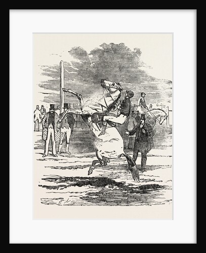 A Bolting Horse by Anonymous