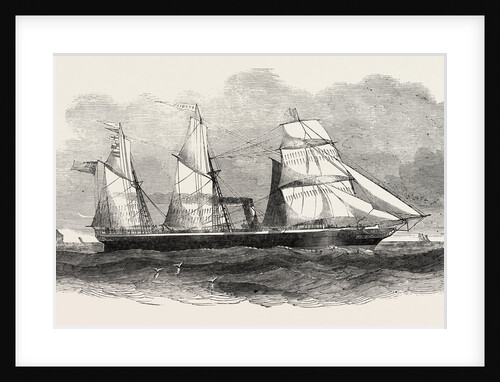 Steam to the Mediterranean, the Arabian, Screw Steamer by Anonymous
