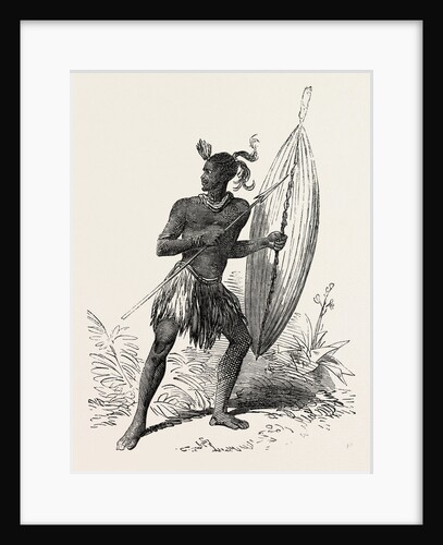 Zulu Warrior, Kaffraria, South Africa by Anonymous