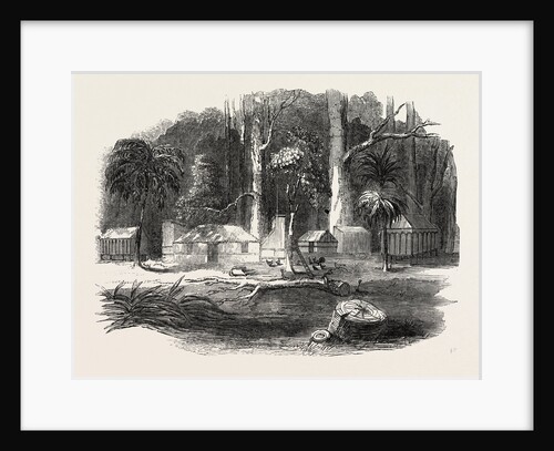 Emigrants' Cottage, Otago, New Zealand by Anonymous