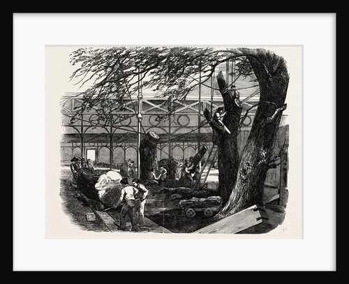 The Great Exhibition Building, the Crystal Palace, Hyde Park, London, Cutting Down Trees in the North Transept by Anonymous