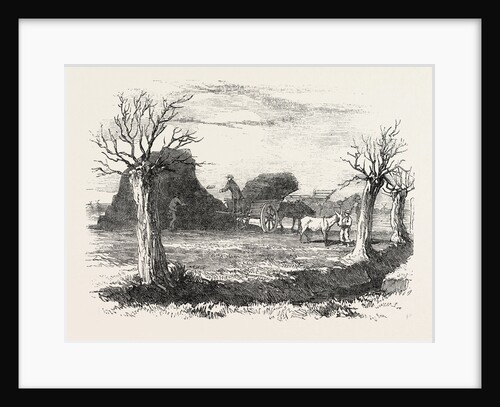 Whittlesea Mere, Carting Peat from the Stack by Anonymous