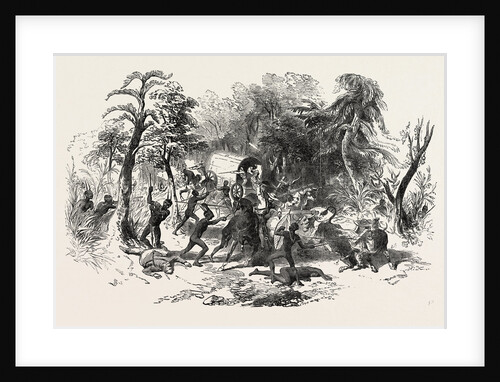 Attack on Colonists' Waggon, by Kaffirs, South Africa by Anonymous