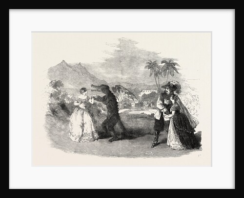 Scene from the Queen of Frogs, at the Lyceum Theatre, London by Anonymous