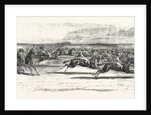 Race Horses Starting at the Derby by Anonymous