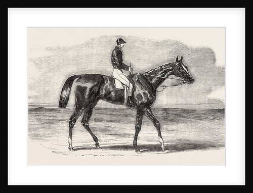 Epsom Races: Teddington, the Winner of the Derby, UK, Horse Racing, Equestrian by Anonymous