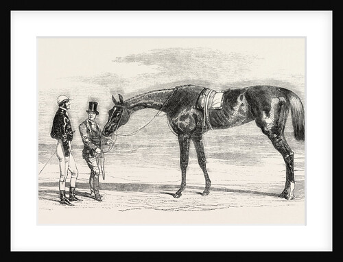 Epsom Races: Iris, the Winner of the Oaks, UK, Horse Racing, Equestrian by Anonymous