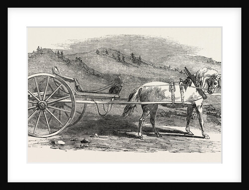 Norwegian Carriole by Anonymous